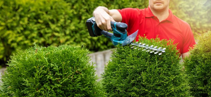 Landscape Trimming Service in Rockwall, TX