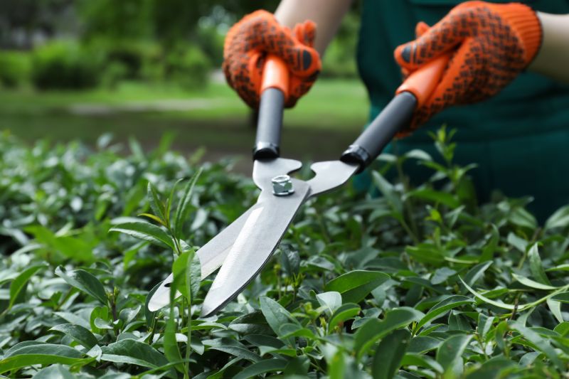 Shrub Pruning in Aiken, SC