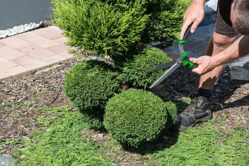 Shrub Shaping in Aiken, SC
