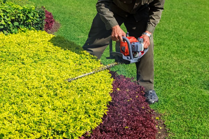 Shrub Trimming in Honolulu, HI