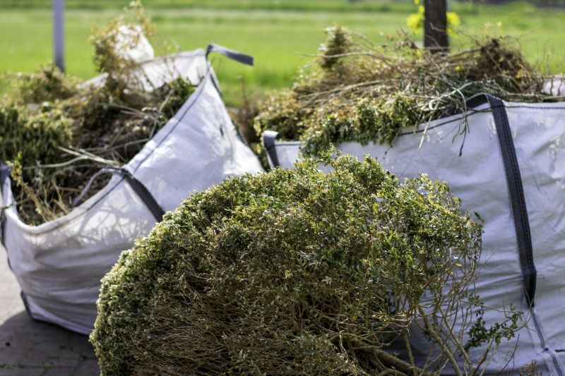 Shrubs Removal in Rockwall, TX