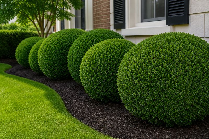 Bush Pruning in Aiken, SC