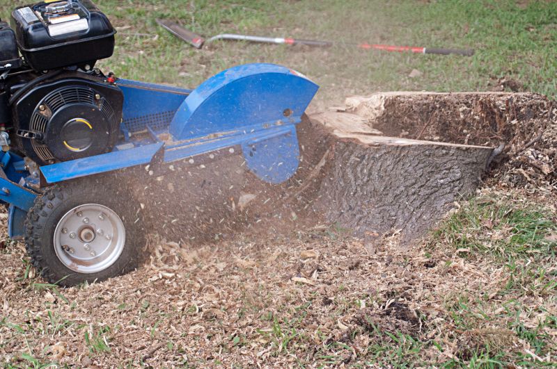 Bush Stump Grinding in Waldorf, MD