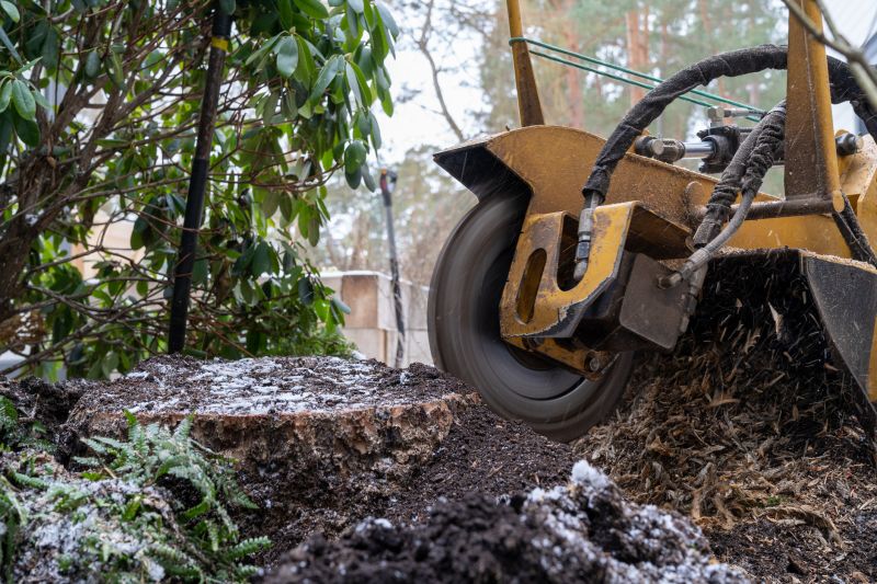 Bush Stump Grinding in Waldorf, MD