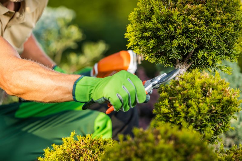 Bush Trimming Service in Aiken, SC