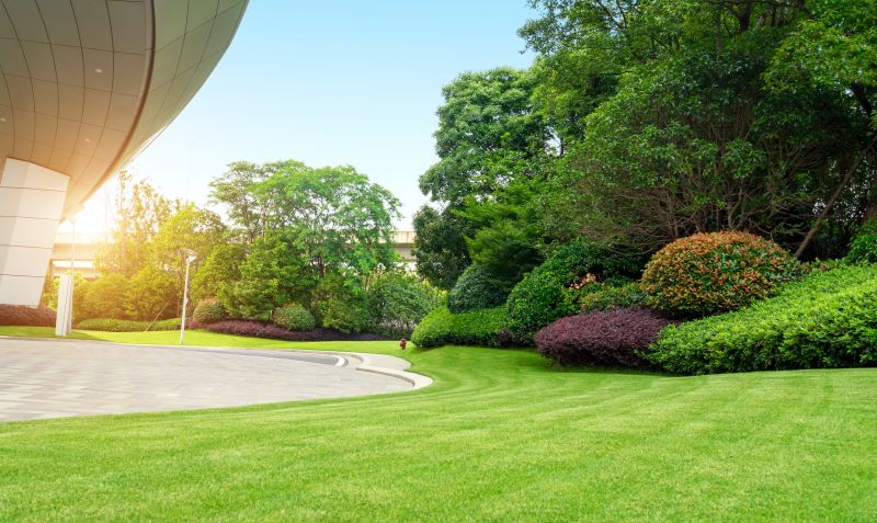 Commercial Shrub Trimming in Aiken, SC