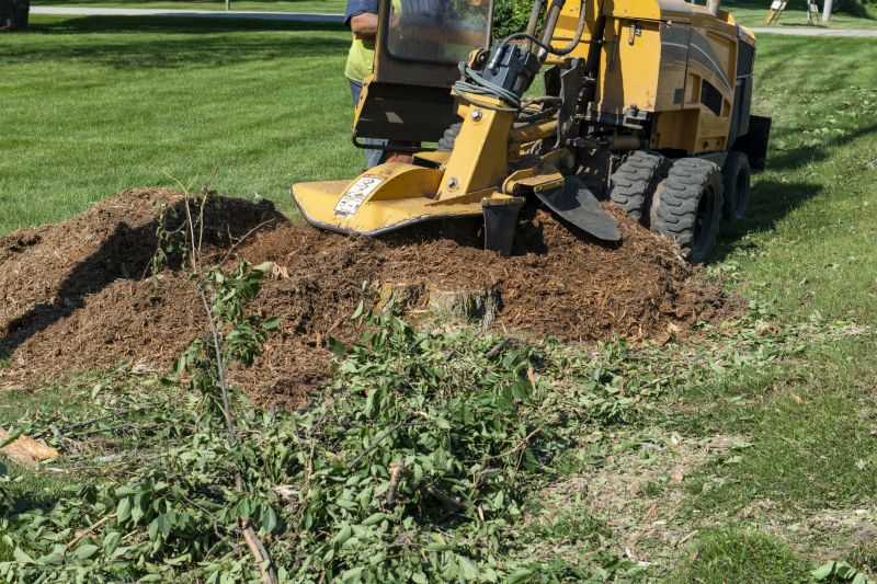 Commercial Stump Grinding in Waldorf, MD