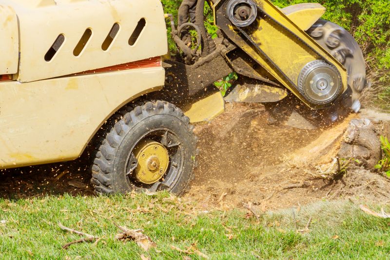Commercial Stump Grinding in Waldorf, MD