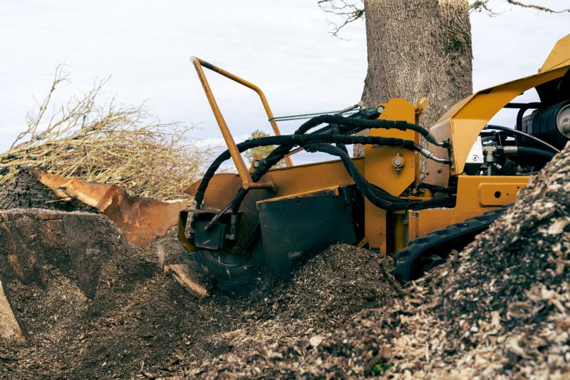 Commercial Stump Grinding in Waldorf, MD