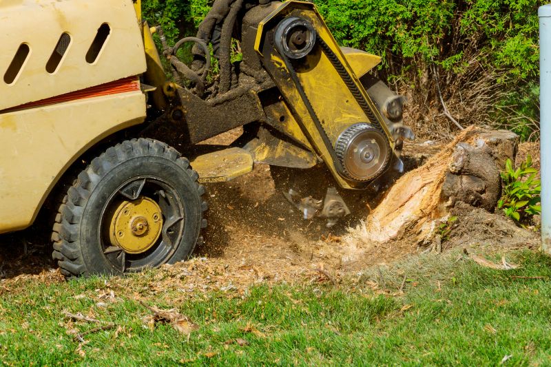 Commercial Stump Grinding in Allentown, PA