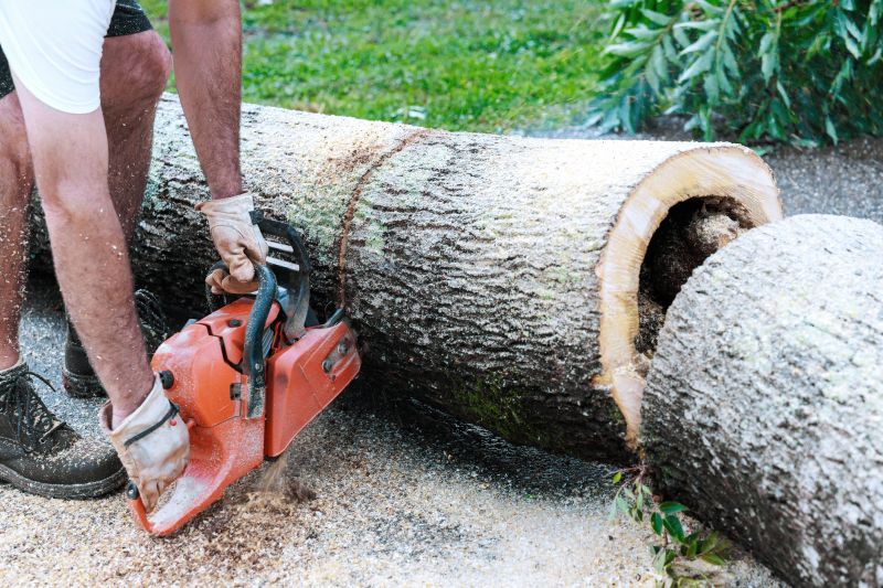 Commercial Tree Removal in Bucks County, PA