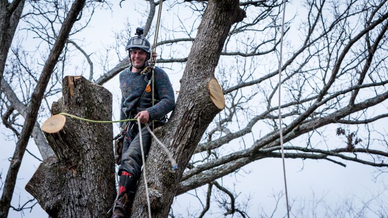 Commercial Tree Service in Aiken, SC