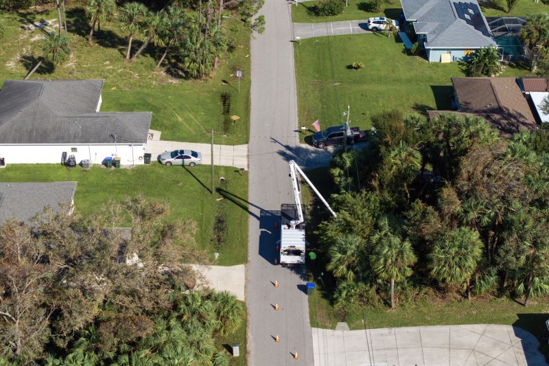 Tree Maintenance Service