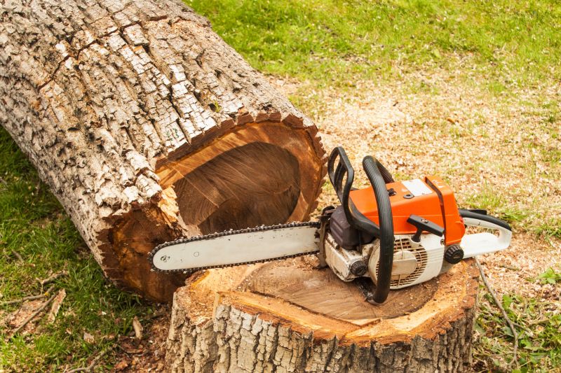 Dead Branch Removal in Doylestown, PA