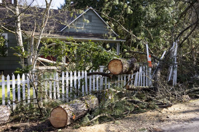 Dead Tree Removal in Montgomery County, PA