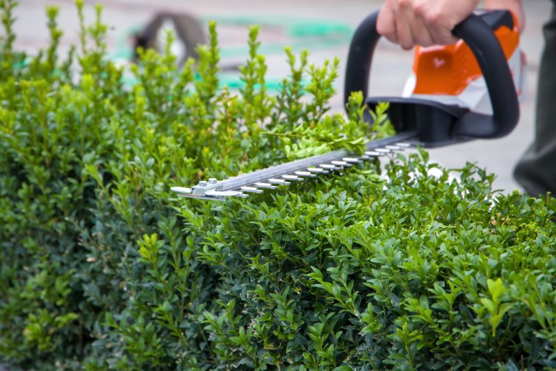 Evergreen Hedge Trimming in Ventura County, CA