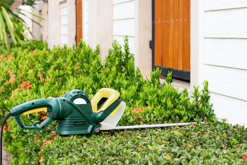 Evergreen Hedge Trimming in Honolulu, HI