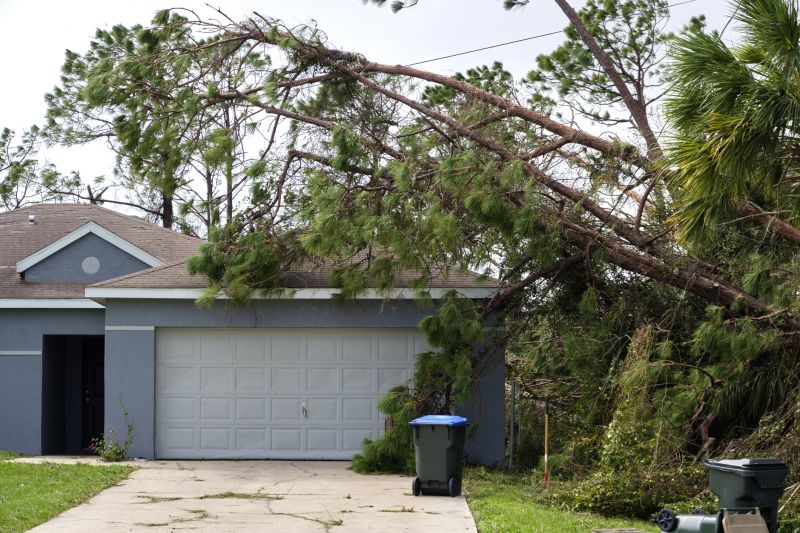 Fallen Tree Removal in Pottstown, PA