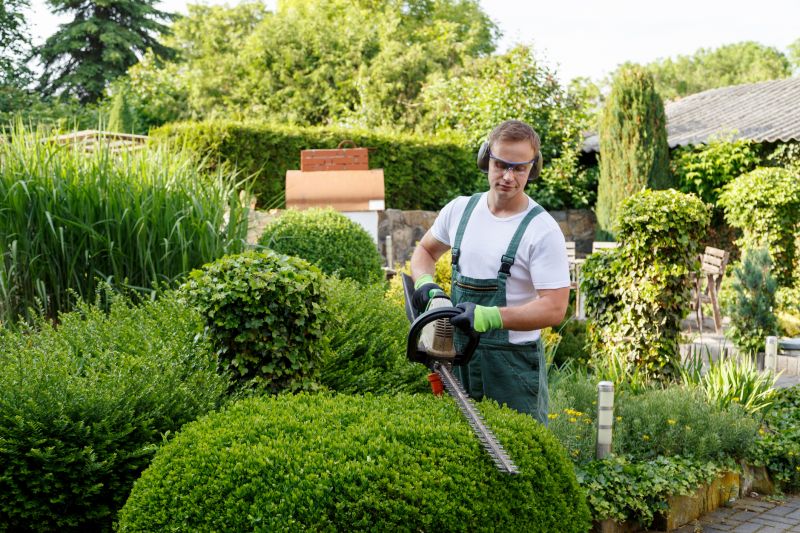 Hedge Shaping Service in Rockwall, TX