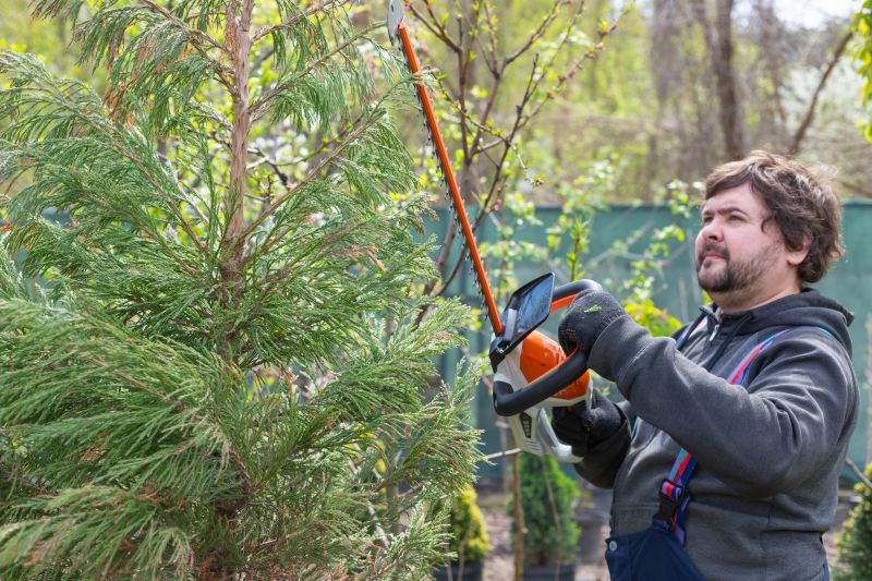 Juniper Trimming in Ventura County, CA