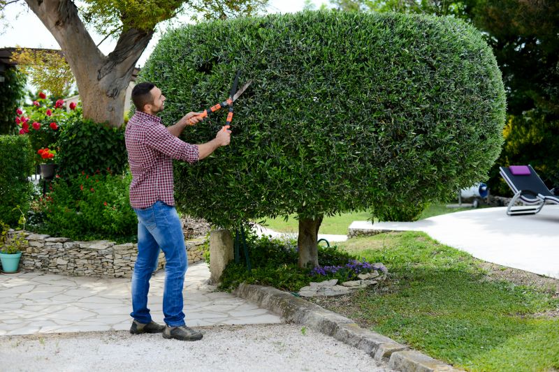 Landscape Trimming Service in Honolulu, HI