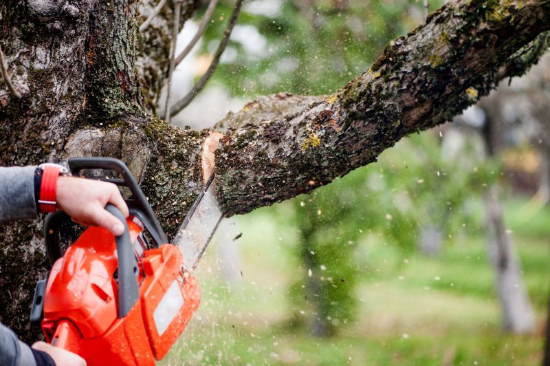 Limbs Trimming in Pottstown, PA
