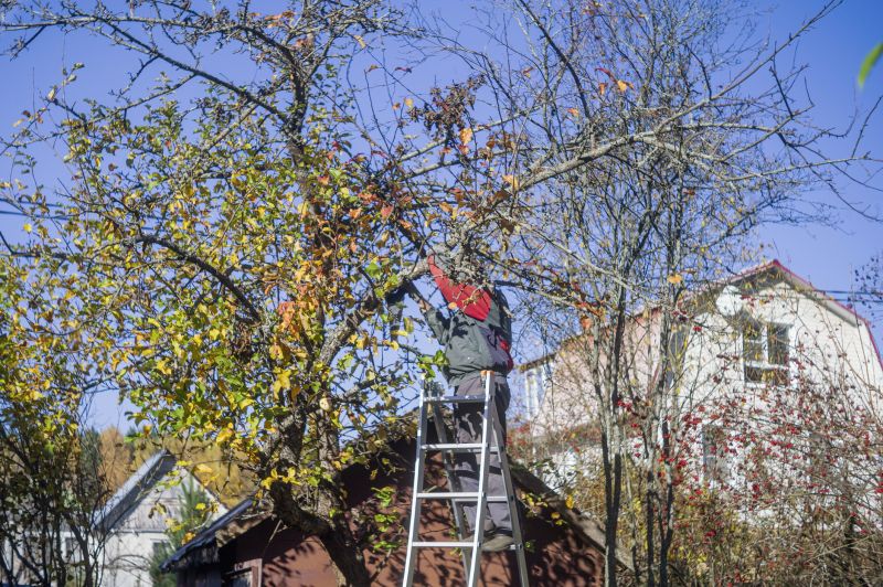 Residential Tree Service in Bucks County, PA