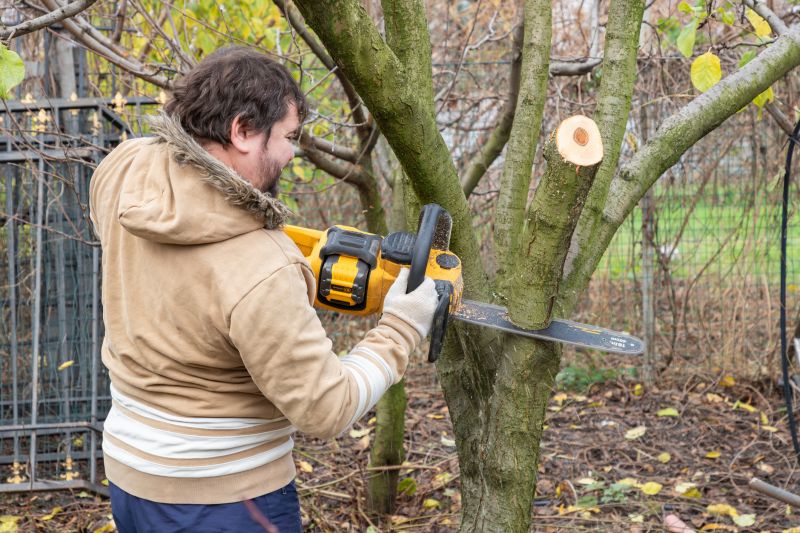 Residential Tree Service in Montgomery County, PA