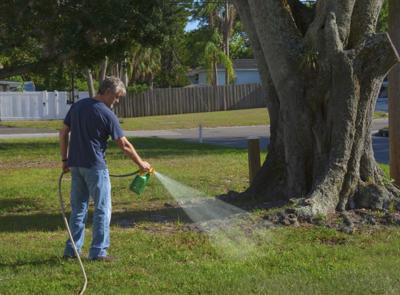 Rock Bed Weeding in Aiken, SC