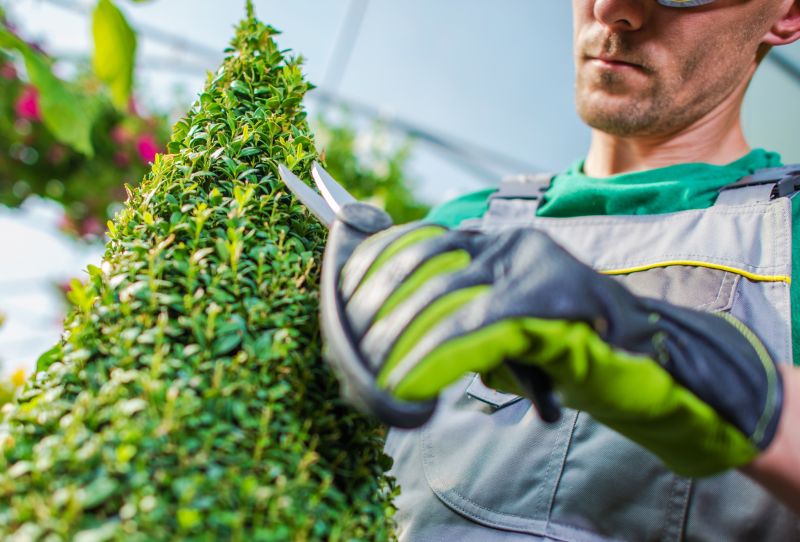 Shrub Trimming in Ventura County, CA