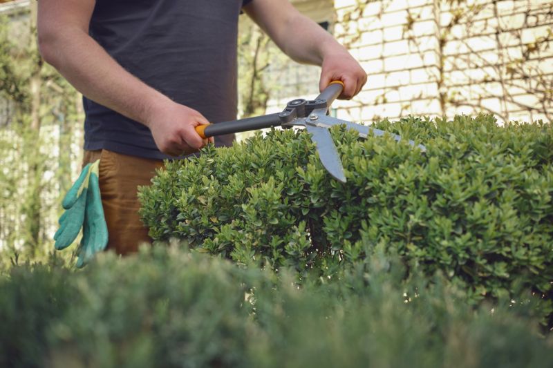 Shrub Trimming in Rockwall, TX
