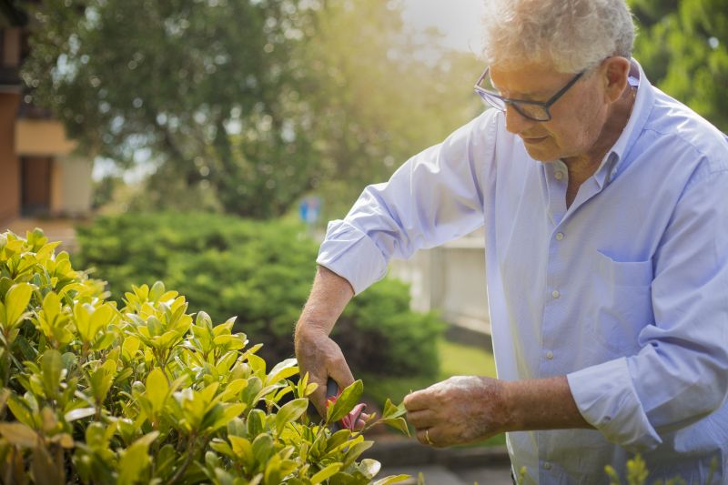 Shrubs Removal in Honolulu, HI
