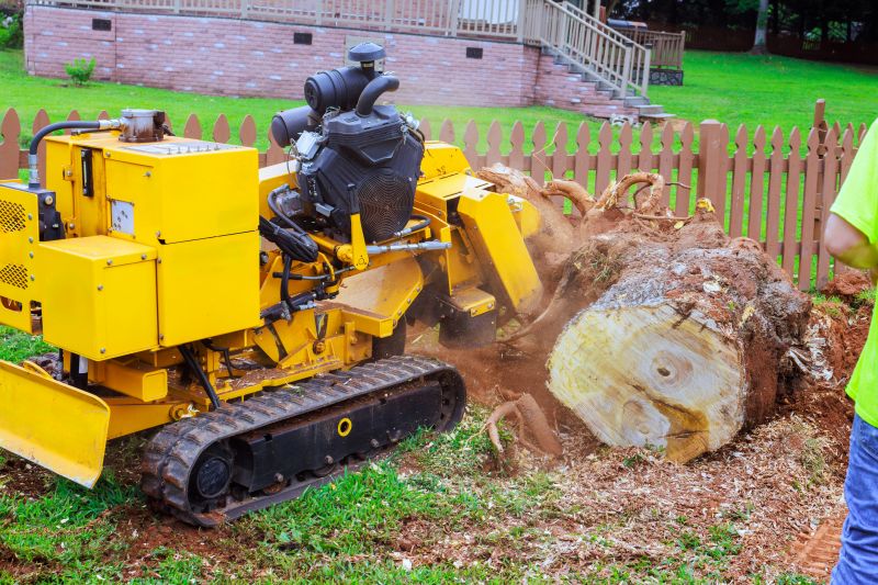 Stump Grinding Service in Waldorf, MD