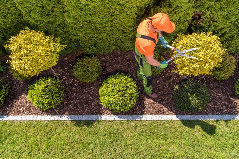 Topiary Shaping in Rockwall, TX