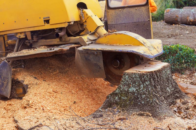 Tree Root Grinding in Waldorf, MD